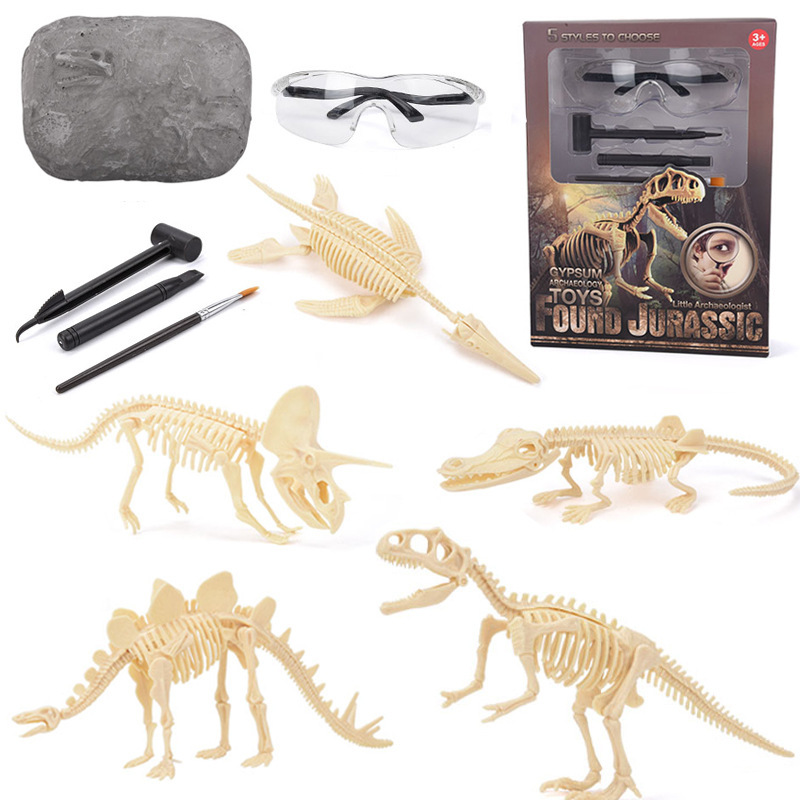 Model Kit Girl - 恐竜化石発掘キット STEM 恐竜骨格模型発掘おもちゃ 男の子と女の子のための教育科学ギフト